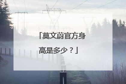 莫文蔚官方身高是多少？