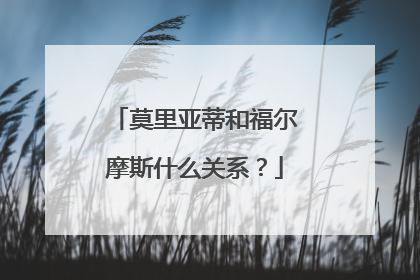 莫里亚蒂和福尔摩斯什么关系？