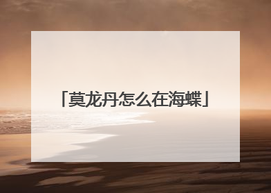 莫龙丹怎么在海蝶
