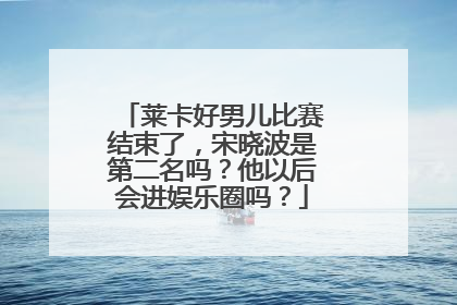 莱卡好男儿比赛结束了，宋晓波是第二名吗？他以后会进娱乐圈吗？