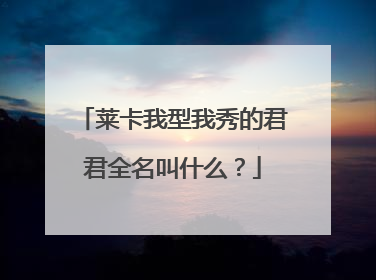 莱卡我型我秀的君君全名叫什么？
