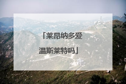 莱昂纳多爱温斯莱特吗