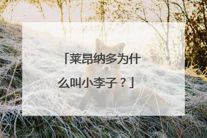 莱昂纳多为什么叫小李子?