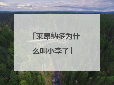 莱昂纳多为什么叫小李子