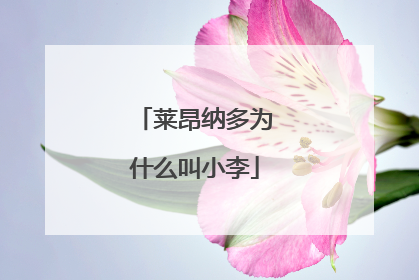 莱昂纳多为什么叫小李