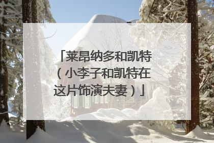 莱昂纳多和凯特(小李子和凯特在这片饰演夫妻)