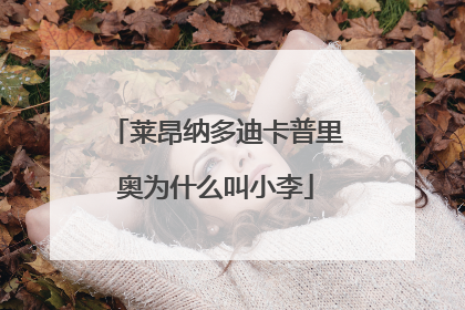 莱昂纳多迪卡普里奥为什么叫小李