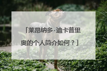 莱昂纳多·迪卡普里奥的个人简介如何?