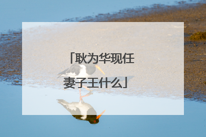 耿为华现任妻子王什么