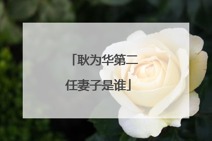 耿为华第二任妻子是谁