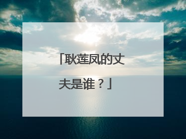 耿莲凤的丈夫是谁？