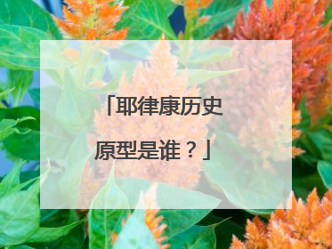 耶律康历史原型是谁？