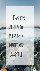 老炮儿里面打冯小刚的脸是谁