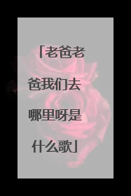 老爸老爸我们去哪里呀是什么歌