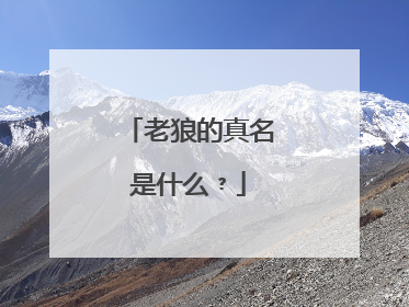 老狼的真名是什么﹖