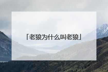 老狼为什么叫老狼