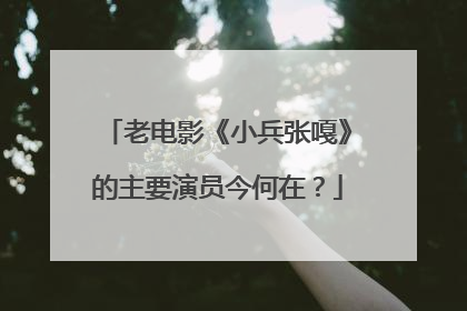 老电影《小兵张嘎》的主要演员今何在？