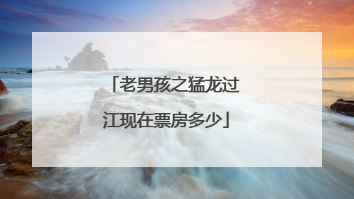 老男孩之猛龙过江现在票房多少