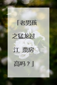 老男孩之猛龙过江 票房高吗?