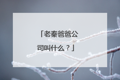 老秦爸爸公司叫什么?