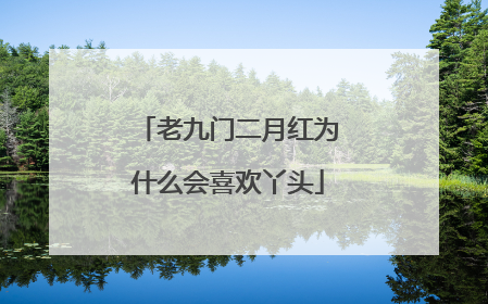 老九门二月红为什么会喜欢丫头