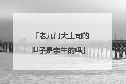 老九门大土司的世子是亲生的吗