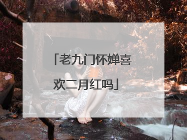老九门怀婵喜欢二月红吗