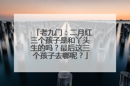 老九门：二月红三个孩子是和丫头生的吗？最后这三个孩子去哪呢？