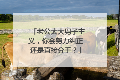 老公太大男子主义,你会努力纠正还是直接分手?
