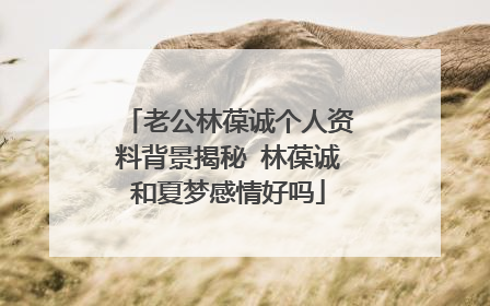 老公林葆诚个人资料背景揭秘 林葆诚和夏梦感情好吗