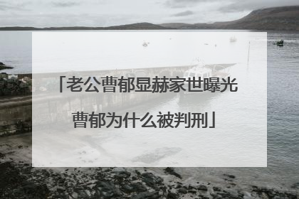 老公曹郁显赫家世曝光 曹郁为什么被判刑
