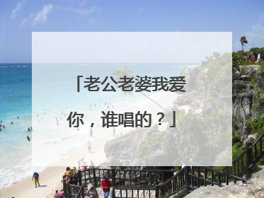 老公老婆我爱你，谁唱的？