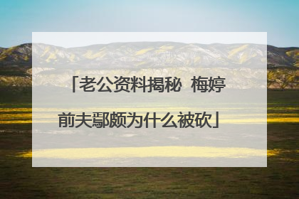 老公资料揭秘 梅婷前夫鄢颇为什么被砍