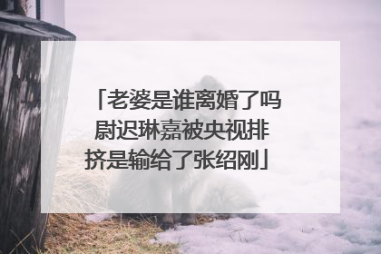 老婆是谁离婚了吗 尉迟琳嘉被央视排挤是输给了张绍刚