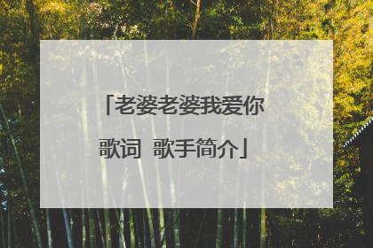 老婆老婆我爱你歌词 歌手简介
