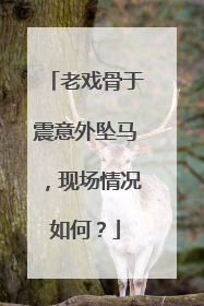 老戏骨于震意外坠马，现场情况如何？