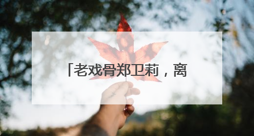 老戏骨郑卫莉,离开赵君做杜淳后妈,如今怎样了?
