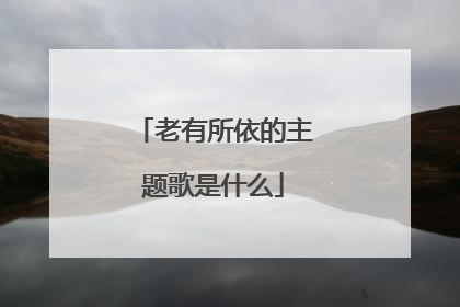 老有所依的主题歌是什么