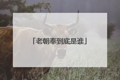 老朝奉到底是谁