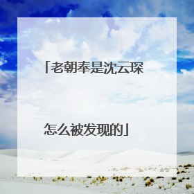 老朝奉是沈云琛怎么被发现的