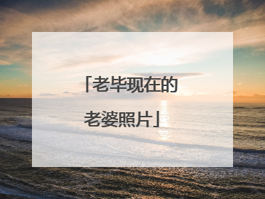 老毕现在的老婆照片