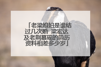 老梁媳妇是谁结过几次婚 梁宏达及老荆慕瑶的简历资料相差多少岁