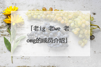 老ig 老we 老omg的成员介绍