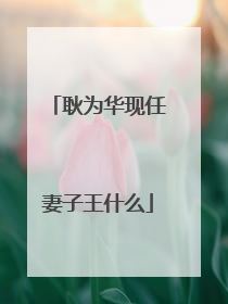 耿为华现任妻子王什么
