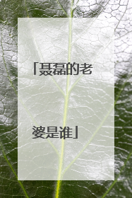 聂磊的老婆是谁