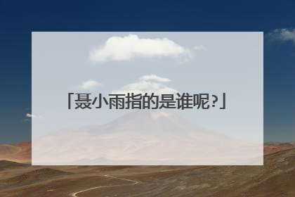 聂小雨指的是谁呢?