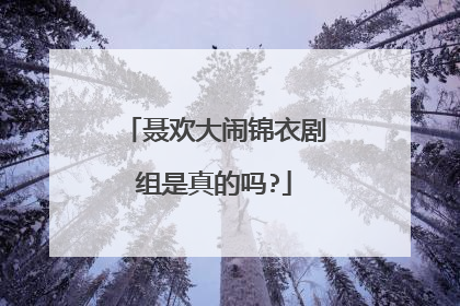 聂欢大闹锦衣剧组是真的吗?