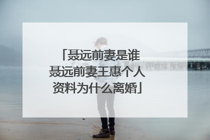 聂远前妻是谁 聂远前妻王惠个人资料为什么离婚