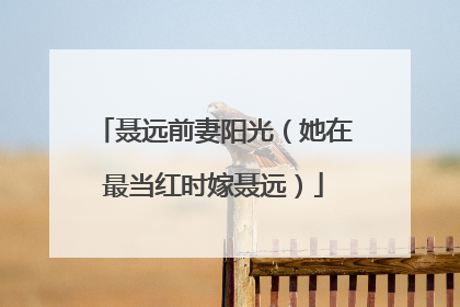 聂远前妻阳光（她在最当红时嫁聂远）