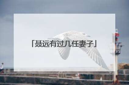 聂远有过几任妻子